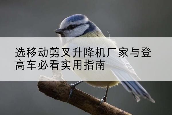 张掖电动升降机厂家-选移动剪叉升降机厂家与登高车必看实用指南