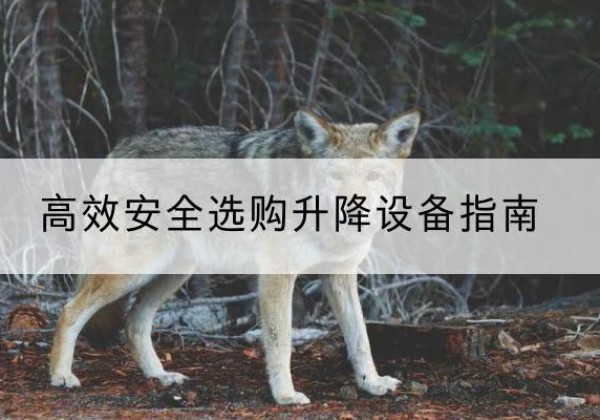 张掖升降货梯厂家推荐-*安全选购升降设备指南