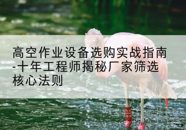 张掖剪叉式升降机厂家-高空作业设备选购实战指南-十年工程师揭秘厂家筛选核心法则